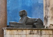 The Sphynxes of Split